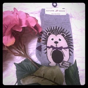 Everything Legwear Porcupine Knee High Socks 4-10